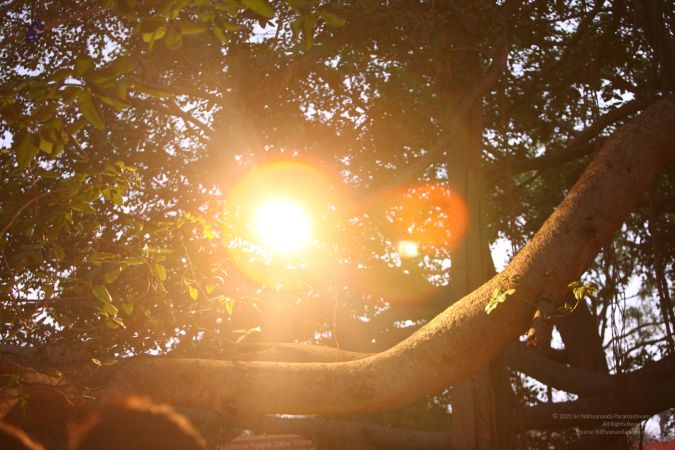 20120430 IMG 0267-6701.jpg