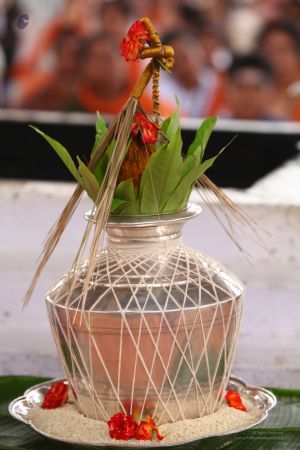 20120430 IMG 9988-9901.jpg