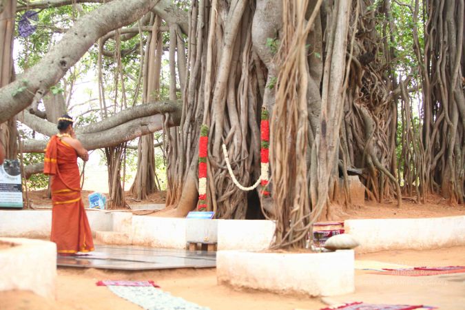 20120501 Photo 1041 18vqcj7paKGz-iPjX7fw9i6I7Bs1xf2ue.JPG