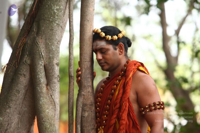 20120503 Photo 1031 1Bgd9yjUwDZcc8nOtO8CxaOpgzhJK8epX.JPG