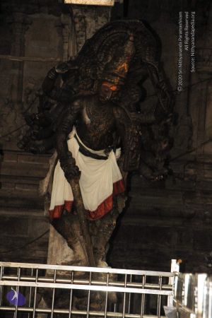 20120508 Photo 1071 1zX1ngUrIaROfzwCJDbMk1NDVlK32qA5d.JPG