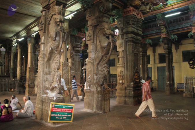 20120508 Photo 1180 1Xjyfub0aMW3Isb5VIVi3wa0Y71bb6deC.JPG