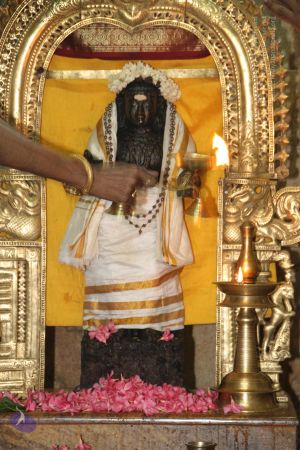 20120508 Photo 1188 1NZTkyXQN4tYS4jKkyPhlE1XrB5LyZ49B.JPG