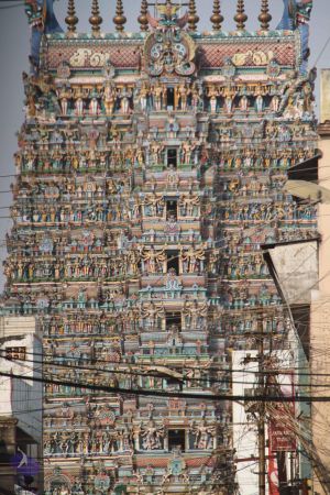 20120509 Photo 1198 1Mjb 1sJj5ckLzTrJH5aSJtB0spFTmlqZ.JPG