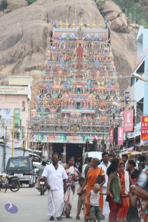 20120509 Photo 1202 1Px5AtctMLX6hbwZbV4WHO3jX 6DZjWeg.JPG