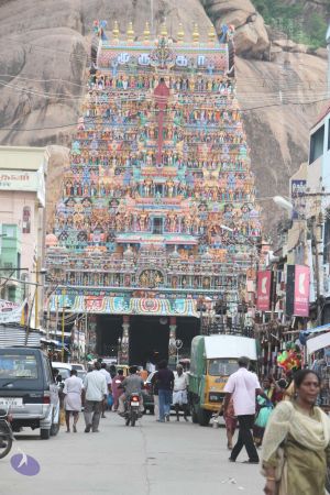 20120509 Photo 1206 1wdYSoeHMgQyG6Z3efBtT3Ru9ZH0A7ffo.JPG