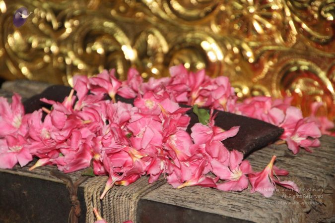 20120509 Photo 1230 1pUB5yg-wHleRivVXnzUOyddEx-ym33DF.JPG