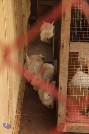 20120509 Photo 1234 1TYcN7h-YxQrv3bT1BYO3GOxSFN1gqznT.JPG