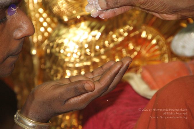 20120509 Photo 1245 1WXaGgNhe2OtPgWlH7BVdZAThc2j67EdC.JPG