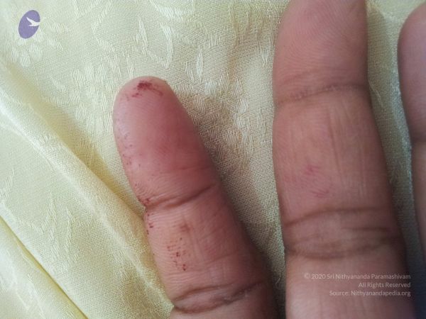 20120509 Photo 1370 1LGxJdkS 1 rGgRIbqRs4JzvPW5uFbLdv.JPG