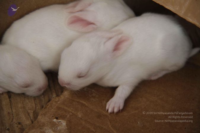 20120509 Photo 1382 1zhqqmIblCj9xVIhEiONl5K1l9B9oB5eD.JPG