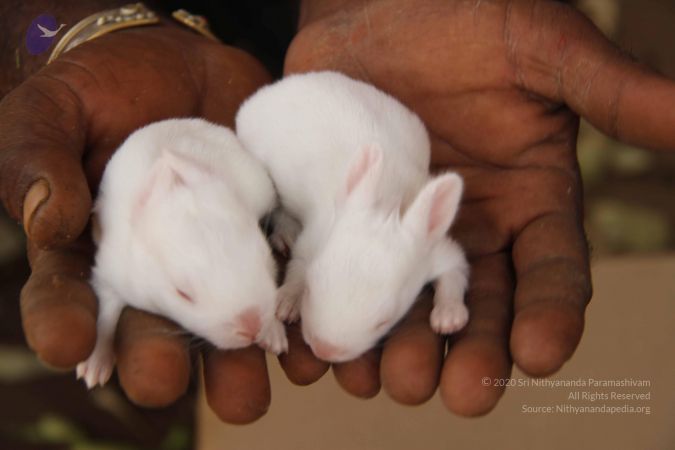 20120509 Photo 1384 1kbCcHVlywA2zG8yn6590-vhM731ookfi.JPG