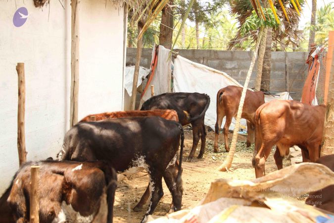 20120509 Photo 1386 1PQo2DI2g0Q-3gZFN0zAmjYIJ0M2x XXB.JPG