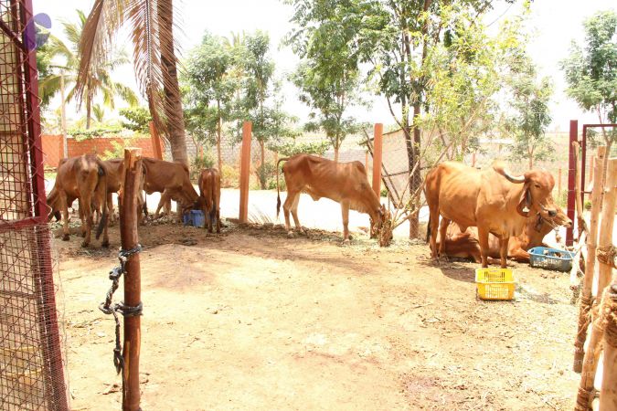 20120509 Photo 1391 1N3cU0lXzEeDiACaLS8ZRAqCYSgCWgWsF.JPG