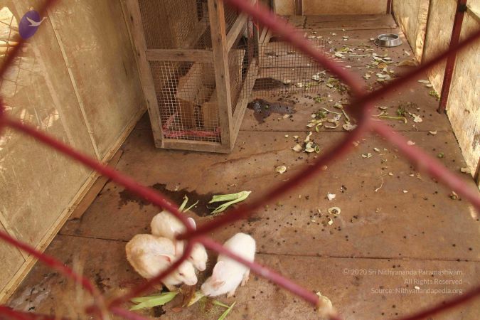 20120509 Photo 1396 1zZfx1GbUFOH 9Z-Id6VvBFl1r1Ss-XI3.JPG