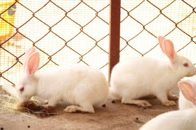 20120509 Photo 1400 1LcMhAGy NkVHZgkOtNPauag djWwW--D.JPG