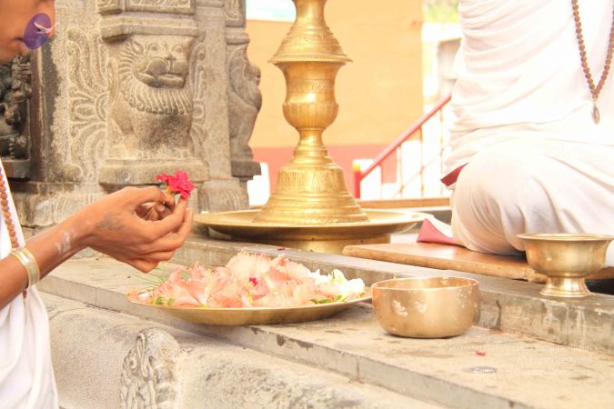 20120510 Photo 1011 1p6CppJ2aFWXCdxiFSjzE4xqiP6SdKWx3.JPG