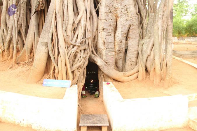 20120511 Photo 1063 1RPYCYPtg15I l9knSK7PJEzQ30hAb4fi.JPG