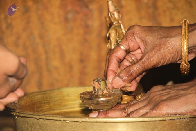 20120511 Photo 1305 1Uykyo7f0TU2W6M5v2cRtJ7UZgPJCmESp.JPG