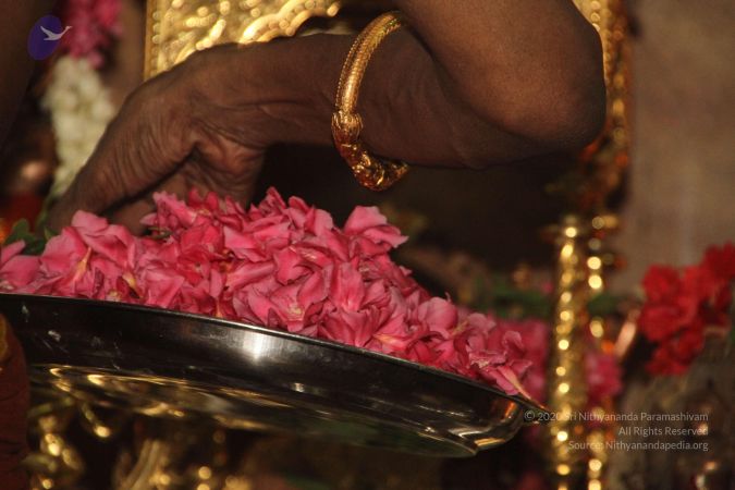 20120511 Photo 1320 1gRZNuWG3-4mYrVibqbn5 yvm6 Vtf14q.JPG