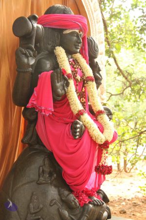 20120512 Photo 1001 1yD0KRiFGZcavg3nE8XddP3fkZsMPY4lG.JPG