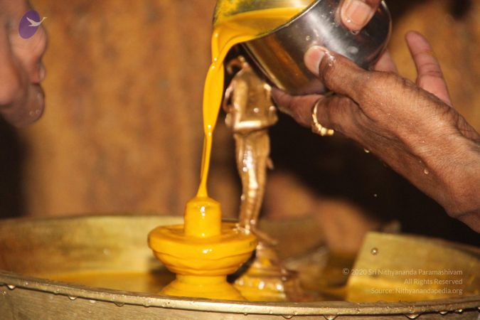 20120512 Photo 1243 1Kn9O3l6YwsZr8YYP2JcPTtWHmG5Q3Igo.JPG