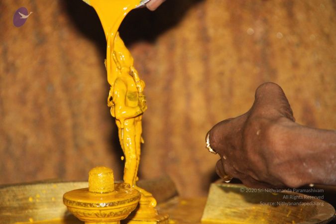 20120512 Photo 1244 1lLzLJYeEuUZw18wd9semKrjJKNwoxSqf.JPG