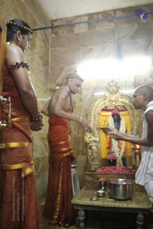 20120513 Photo 1215 1FxXa-AJXddyb6DpKI7JQ8HfQtc 7nqos.JPG