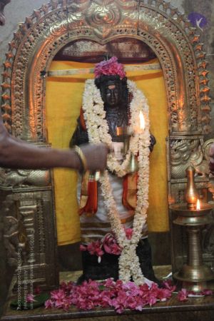 20120513 Photo 1224 1zG3fFSSiQsjKAEyQe98890TILYnhj Tp.JPG