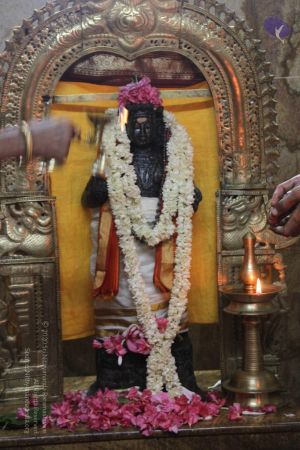 20120513 Photo 1225 1eFeyabJECTOwhngDCrTSXEj-l5FEAit9.JPG