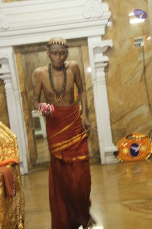 20120513 Photo 1231 1oXRrXXhH1S s6J5Y2LxDBjo-uNVbPDET.JPG