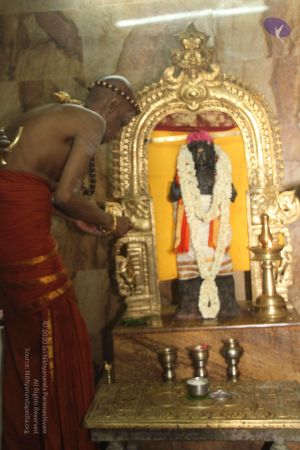 20120513 Photo 1373 1vMZvKH4Xj3BB 78Xj2I6UDA1eweeiT1q.JPG