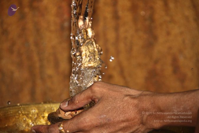 20120514 Photo 1042 1ZLedYT 1VP1zjqgGbg1jRqvDisgRO6YG.JPG