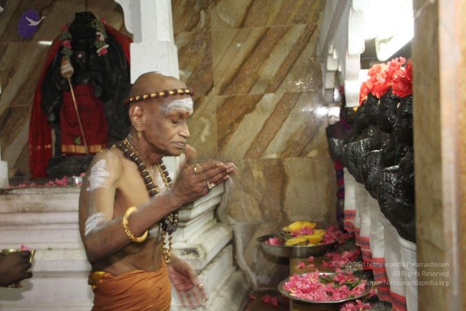 20120514 Photo 1072 1Sscngwa-TXu-ofQOw5386fgDY5XE25Pc.JPG