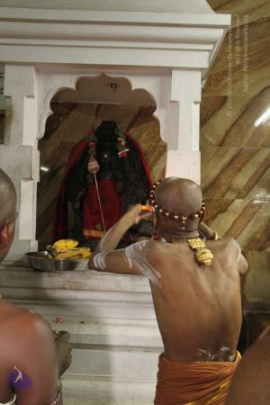 20120514 Photo 1077 1qo1rgGQTrACC0NYbJYY3I tr6XpcqT0F.JPG