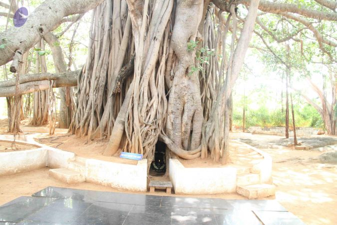 20120515 Photo 1029 1WPAaQCWhZcqW KuzIpuRrzJiSasBNkru.JPG