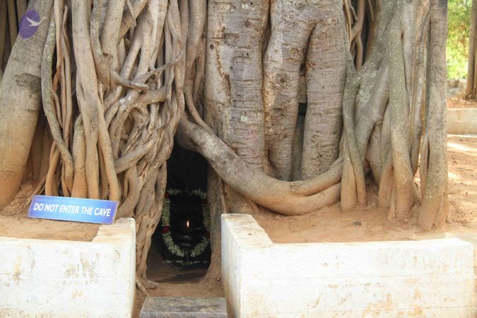 20120515 Photo 1030 11-Y-U0mCs9q5Q WqUMVzkBV1mDziZ 90.JPG