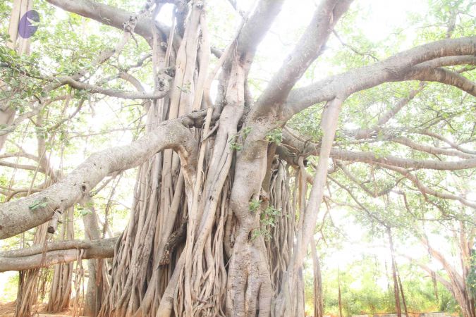 20120515 Photo 1031 1OeO1HBdQr2bDp8Kuzdghyvu4ObwjnB60.JPG