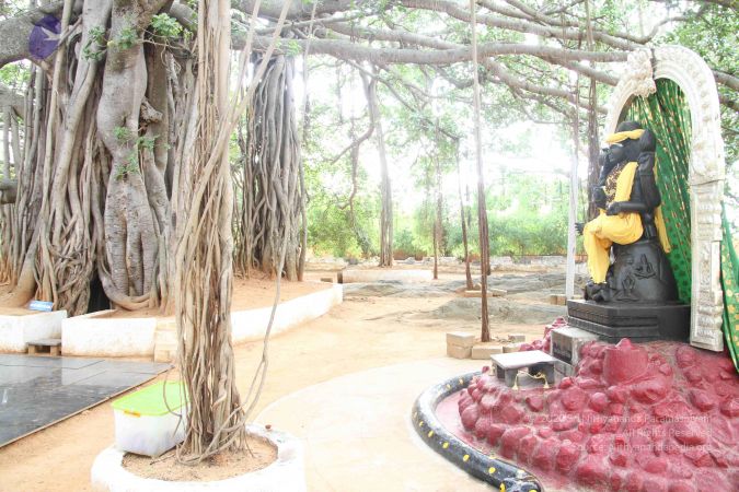 20120515 Photo 1032 1J-BamOGgsE5mFh35U67KYgbCGqtyH1NC.JPG