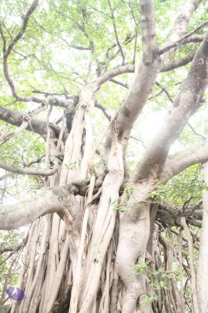 20120516 Photo 1004 1cwRCVYTTO9jQWhTk8qxp92r owJOekBS.JPG