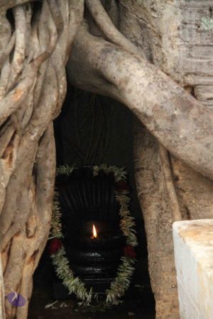 20120516 Photo 1005 14woI9q9nV9As-b0MUsPVCJdmF5dh1YW2.JPG