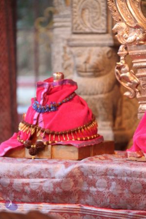 20120516 Photo 1010 1Ueq8XfUUmW1jRzYxk2YDY-SFwYC3o7bj.JPG