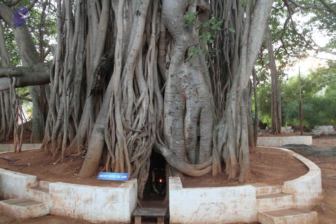 20120516 Photo 1022 1FDODXx ICFJDMx5uT8NmTnTO 5TI2oUb.JPG