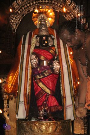 20120516 Photo 1097 1BpzX3PAoe7A3Ep8u3fshTOyCXhyxX0Rw.JPG