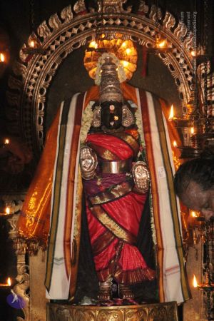 20120516 Photo 1098 17B7NiyF42edB46i60ZY29uKQINKmY3IC.JPG