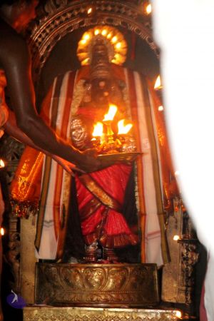 20120516 Photo 1101 17zpzwfBykFcHec2TJvokl1uNIao2hO30.JPG