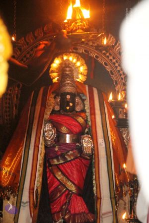 20120516 Photo 1104 1Fu7X7 7 6uhm6YW1aenhxEJPgnOziq5Y.JPG