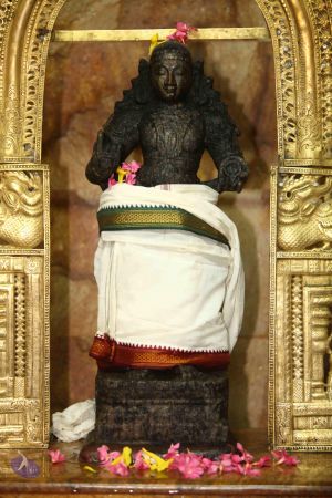 20120521 Photo 1014 1iwyf0Rhxr9Tg0hVx1RQKJBSOFoMwvr d.JPG