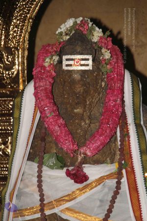 20120521 Photo 1270 12c3yaI8DIOpfRJ9Czk91ovKNxi5z2yUJ.JPG