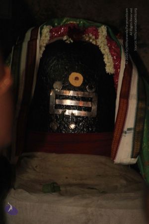 20120521 Photo 1288 1Z0fJwhmBOJ0gzB4E-0lVoukIhoeW89F5.JPG